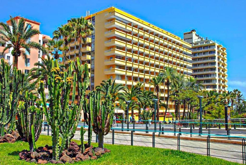 Acogedor Estudio En Martianez Puerto de la Cruz Kültér fotó